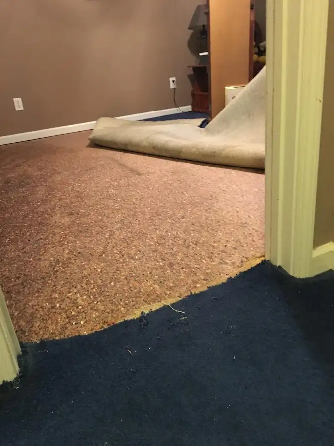 Carpet pad removal revealing water damage during Drying & Dehumidification in Whittier