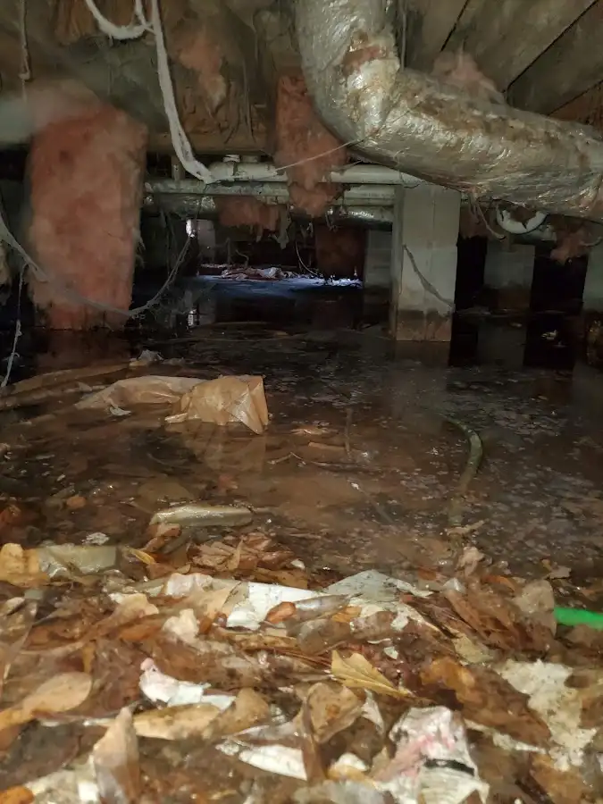Crawl space flood assessment for Leak Detection & Repair in Whittier